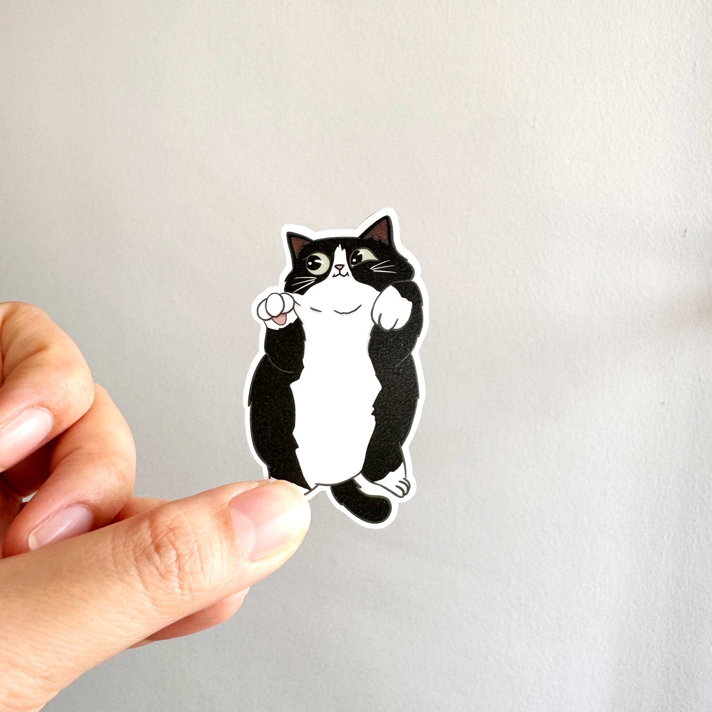 Cat Breed - Chubby Cat - Tux