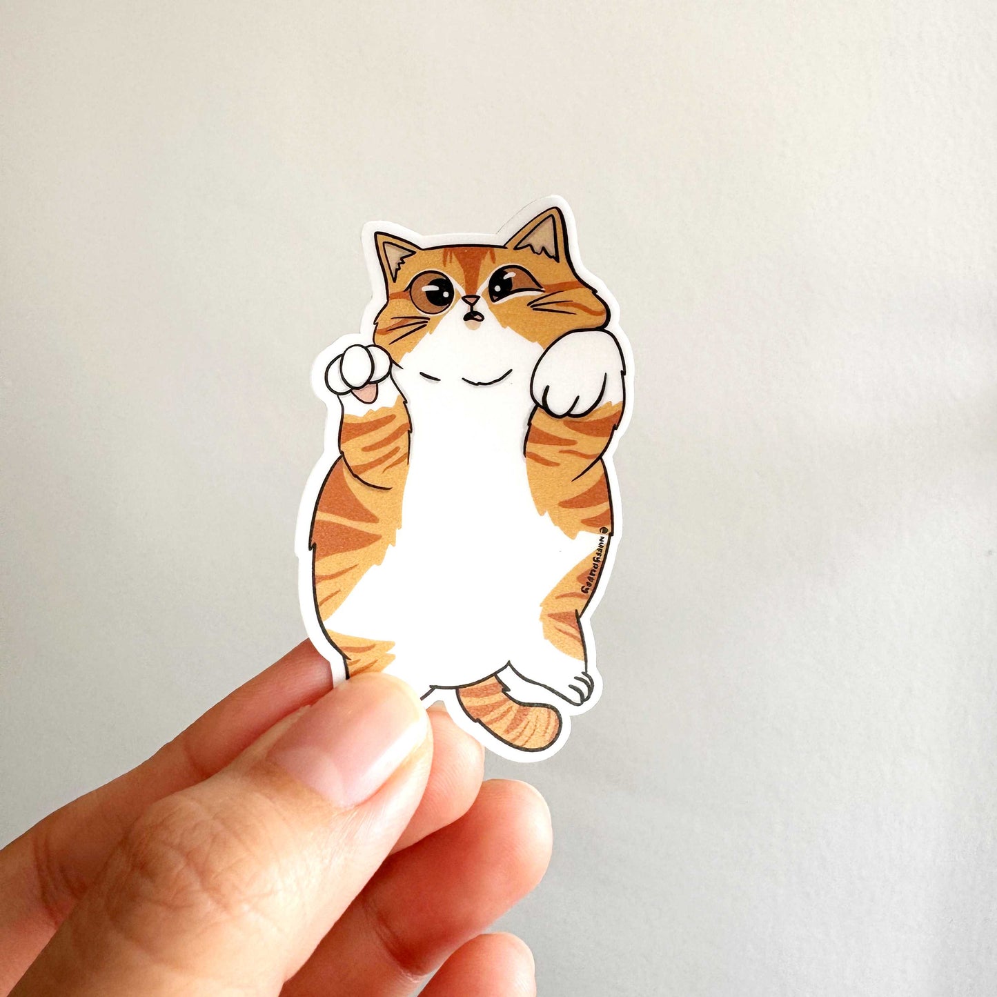 Cat Breed - Chubby Cat - Ginger