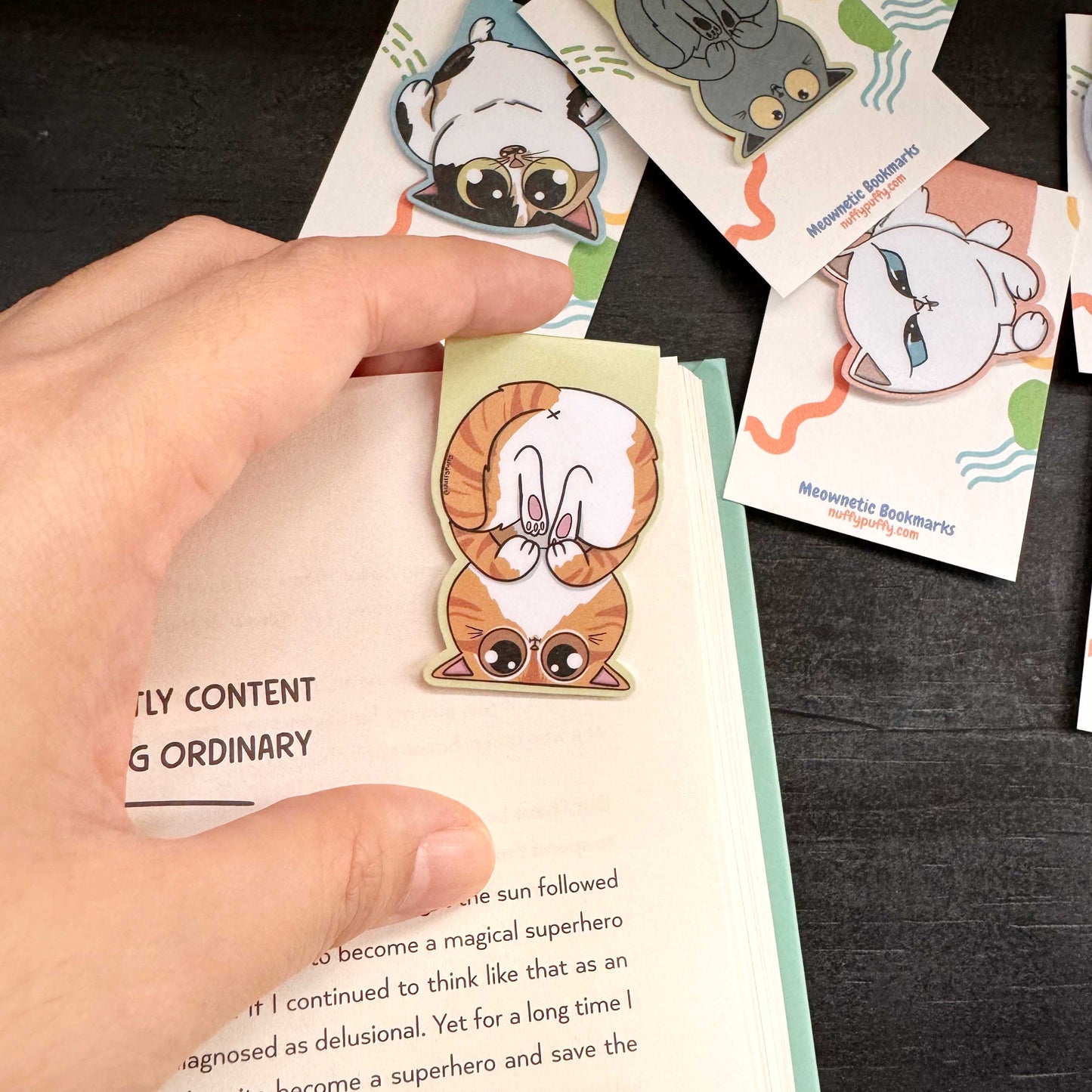 Magnetic Bookmark - Ginger
