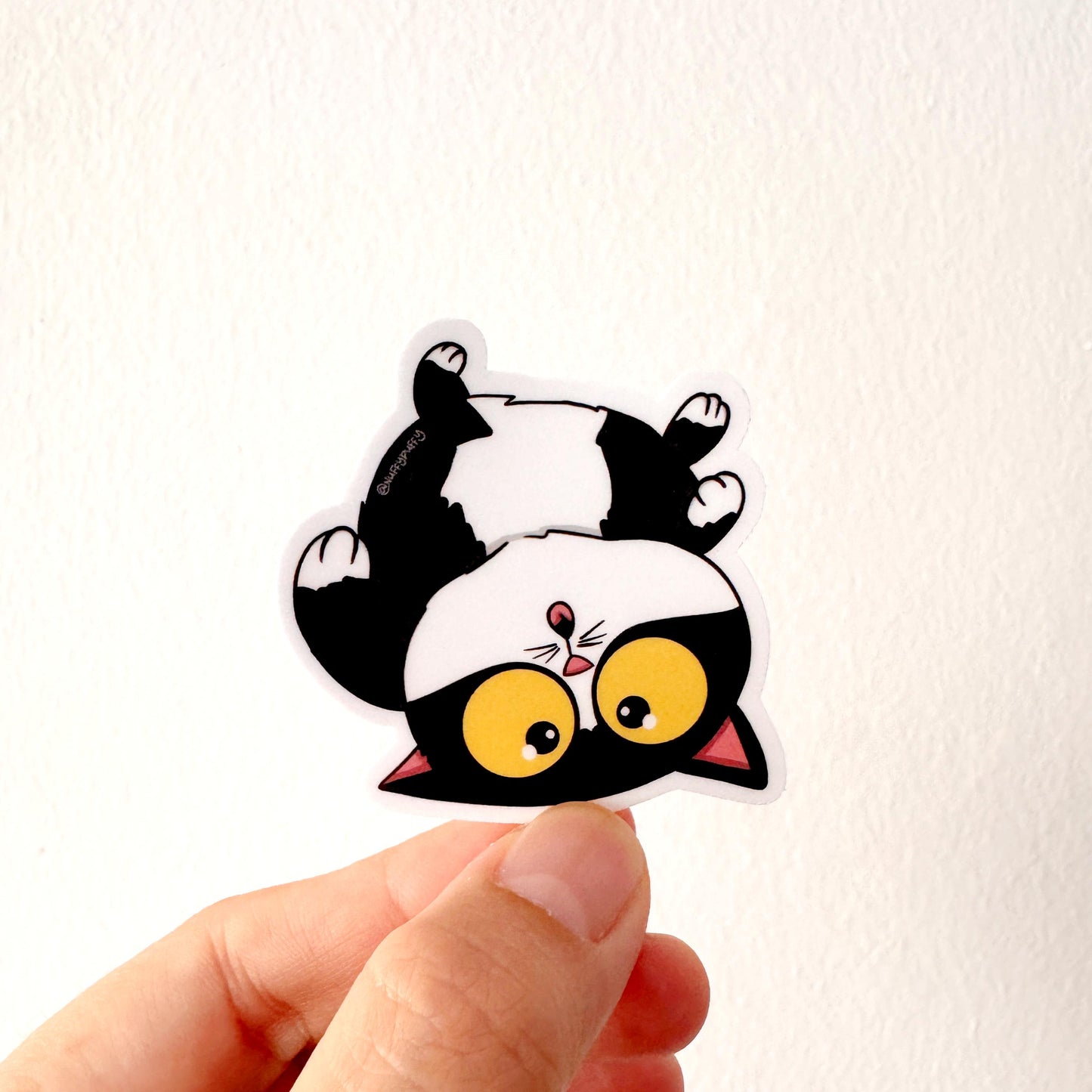 Cat Breed - Upside Down Cat - Tux