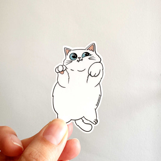 Cat Breed - Chubby Cat - White