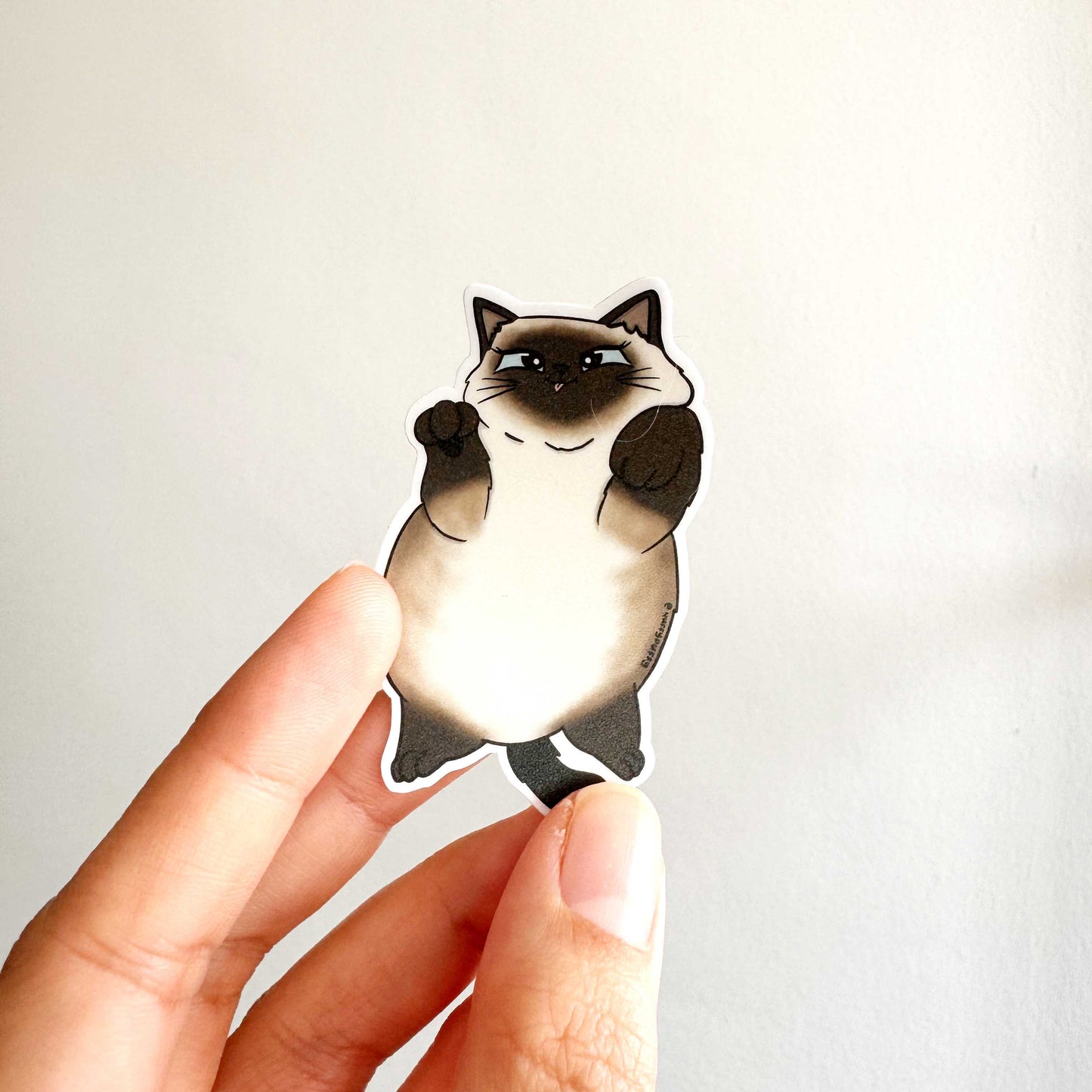 Cat Breed - Chubby Cat - Siamese