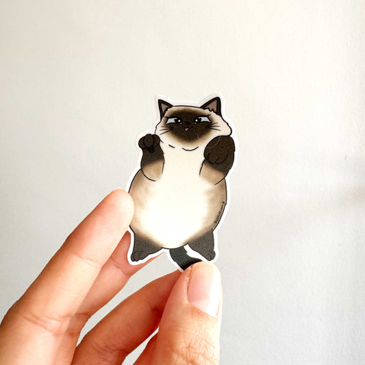 Cat Breed - Chubby Cat - Siamese