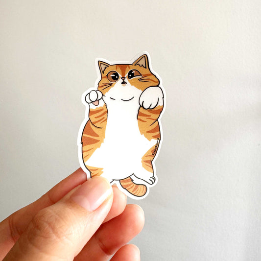 Cat Breed - Chubby Cat - Ginger