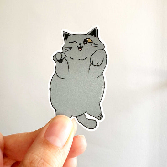 Cat Breed - Chubby Cat - Grey