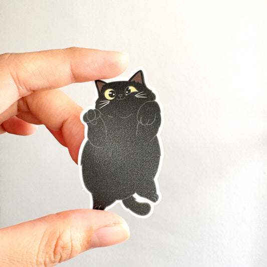 Cat Breed - Chubby Cat - Black