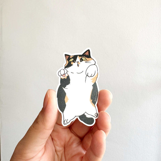 Cat Breed - Chubby Cat - Calico