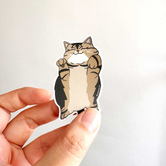 Cat Breed - Chubby Cat - Tabby