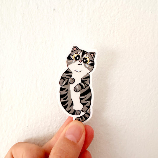 Cat Breed - Clingy Cat - Grey