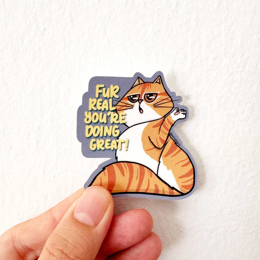 Affirmation - Fur Real