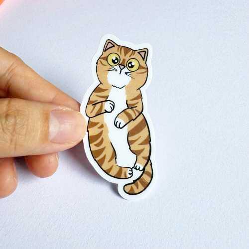 Cat Breed - Clingy Cat - Ginger