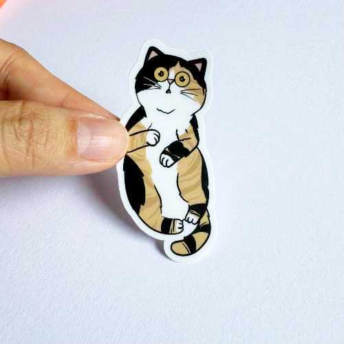 Cat Breed - Clingy Cat - Calico