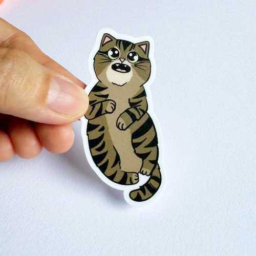 Cat Breed - Clingy Cat - Tabby