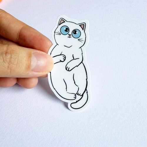 Cat Breed - Clingy Cat - White