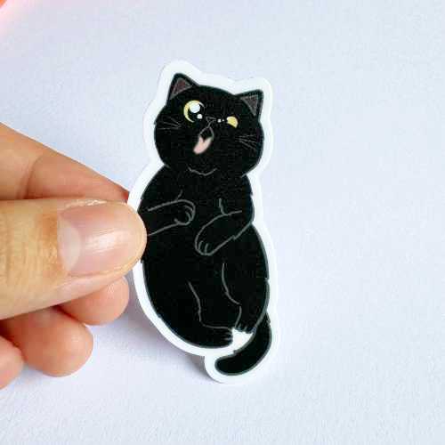 Cat Breed - Clingy Cat - Black