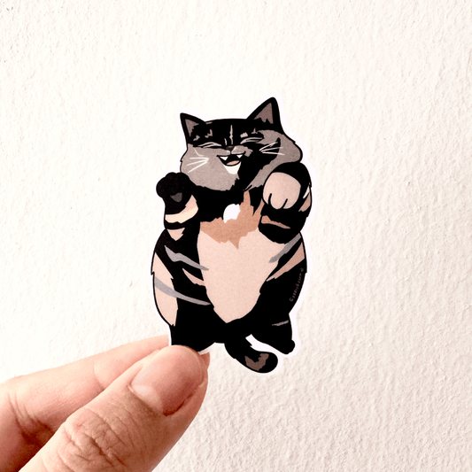 Cat Breed - Chubby Cat - Tortoiseshell
